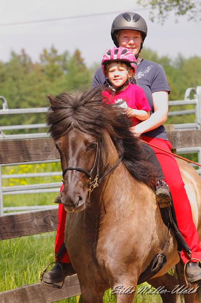 Bjoerk Familienpferd.jpg - Unsere Heidmoorpferde sind vielseitig einsetzbar
